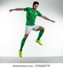 解析亚利桑那响尾蛇的防御韧性体系