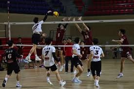 【球员DA小事】「最怕青豆，但跳伞可以！」- 栗原陵矢｜日职